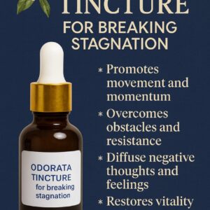 WhatsApp Image 2025-11-12 at 19.52.07 ODORATA TINCTURE