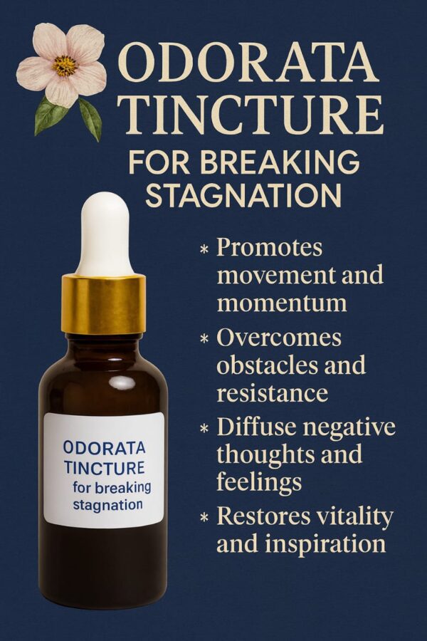 ODORATA TINCTURE